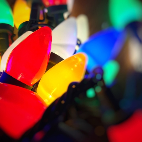 Colorful holiday lights