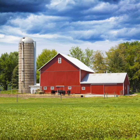 A red barn on a farm with a bright blue sky with white clouds in the background