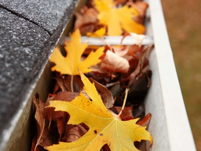 Fall leaves in a gutter on a house